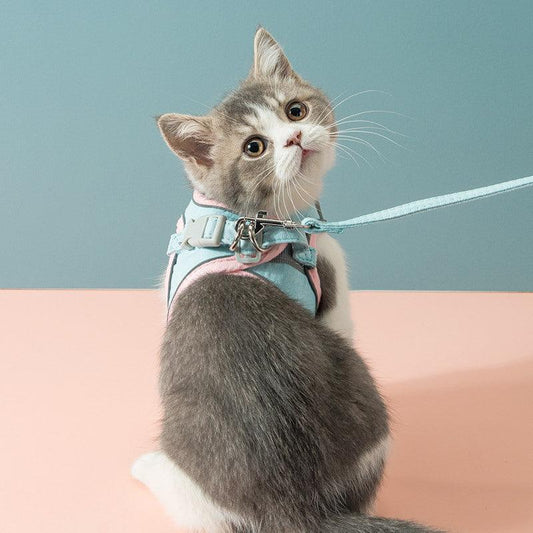 Petsafe Freedom Harness: Secure And Stylish Cat Traction Rope Chest Strap-0