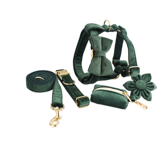 Velvet Collar, Harness, Leash & Bag Dispenser Bundle - Gray