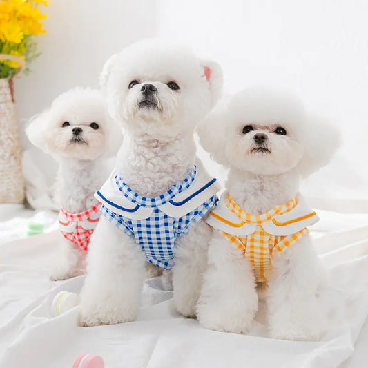 Cute Shirts for Dogs and Cats
