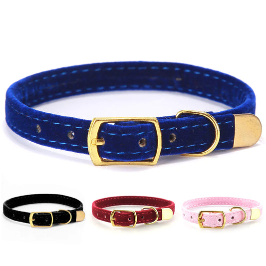 The  Purrfect Cat Collar