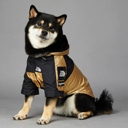 The DogFace Raincoat